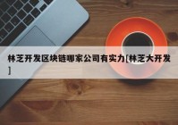 林芝开发区块链哪家公司有实力[林芝大开发]